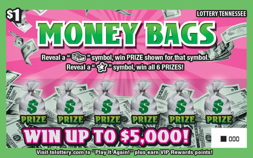 Money Bags #1209